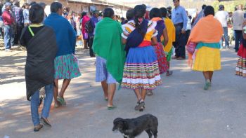 El etnocidio lingüístico en Guerrero: de 25 lenguas originarias a sólo cuatro