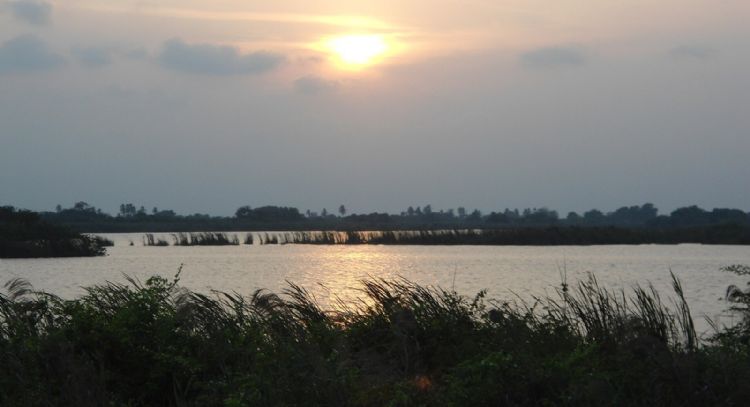 Luisa Reyes Retana sumerge al río Usumacinta en una novela sobre ecocidio y resistencia