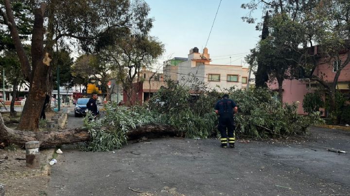 Azotarán vientos fuertes a la CDMX: alerta naranja en nueve alcaldías y amarilla en siete