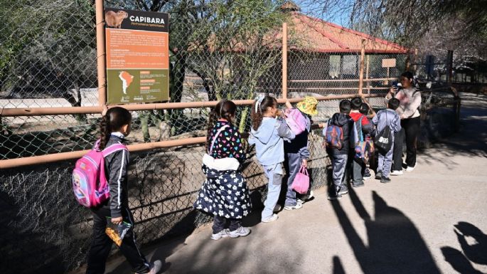 Gobernador Durazo transforma el Centro Ecológico con más especies, infraestructura renovada y mayor afluencia