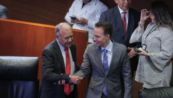 El PVEM sigue en desacuerdo con varios puntos de la reforma electoral