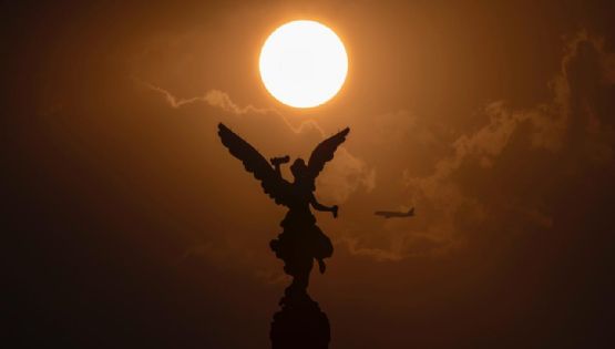 La rápida, silenciosa y brutal expansión del Tren de Aragua en la CDMX