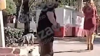 “Amarra al niño": Un sujeto agrede a la madre de un menor presuntamente atacado por pitbulls (Video)