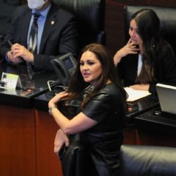 Persisten posiciones encontradas entre aliados de la 4T sobre la reforma electoral