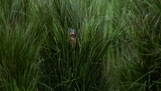 Los “arbustos humanos” de Bad Bunny: así funcionó el truco escénico que se volvió viral (Video)