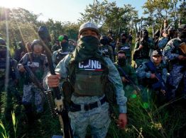 El imperio del "Señor de los Gallos", al amparo de la protección política