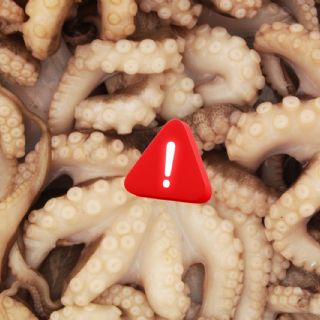 Por qué México busca prohibir las granjas de pulpos antes de que exista la industria