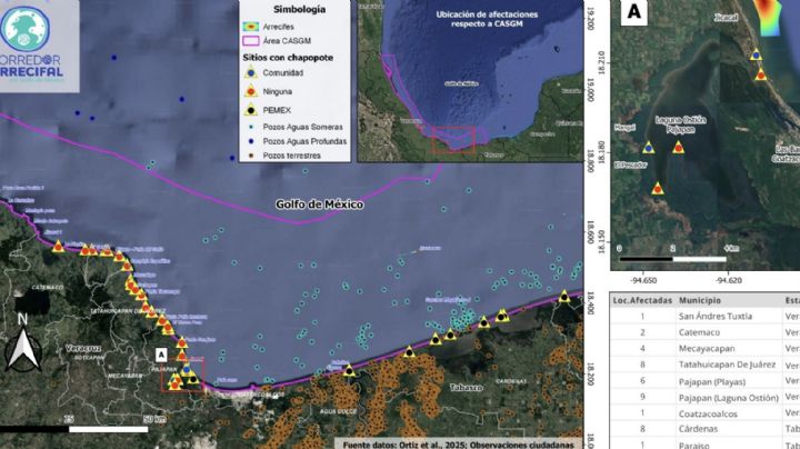 Denuncian que derrame de petróleo en costas de Veracruz y Tabasco no ha sido atendido