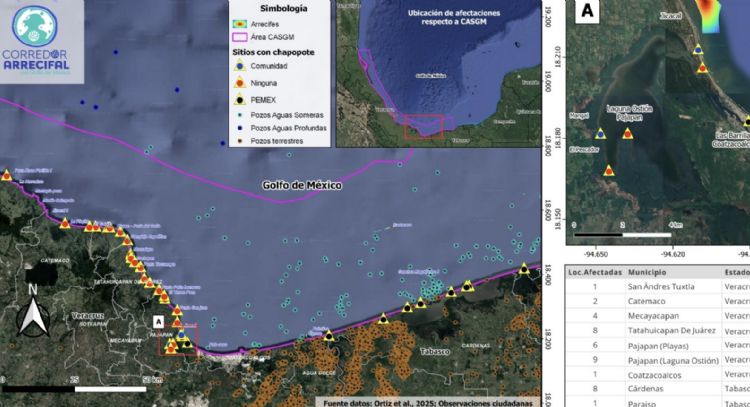 Denuncian que derrame de petróleo en costas de Veracruz y Tabasco no ha sido atendido