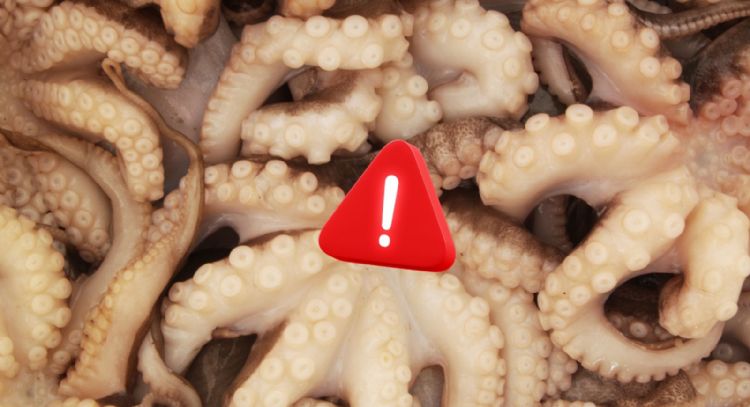 Por qué México busca prohibir las granjas de pulpos antes de que exista la industria