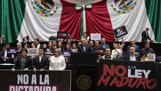 Reformas Electorales de Sheinbaum buscan destruir el cambio democrático: especialista sobre “Plan B”