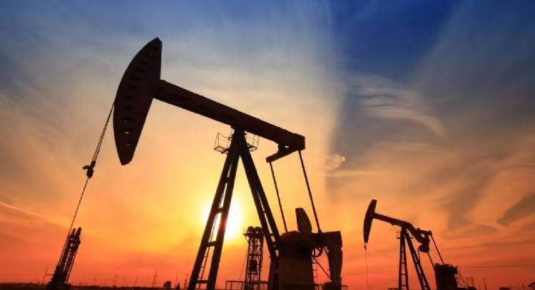 Agencia Internacional acuerda liberar el mayor volumen de reservas de petróleo en su historia