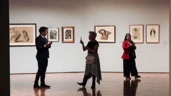 Comunidad artística pide al INBAL respuestas reales sobre la salida de la Colección Gelman