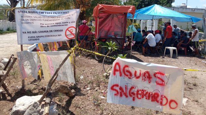 De la porcicultura a la minería: El informe de la devastación ambiental que recibió la ONU en Mérida