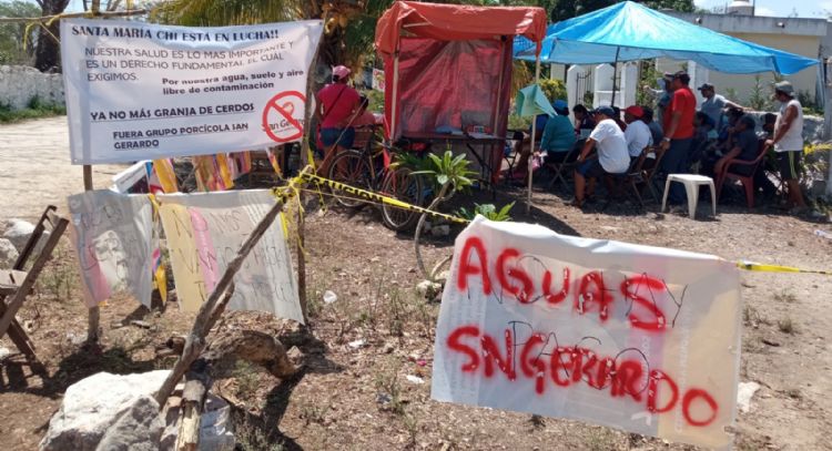 De la porcicultura a la minería: El informe de la devastación ambiental que recibió la ONU en Mérida