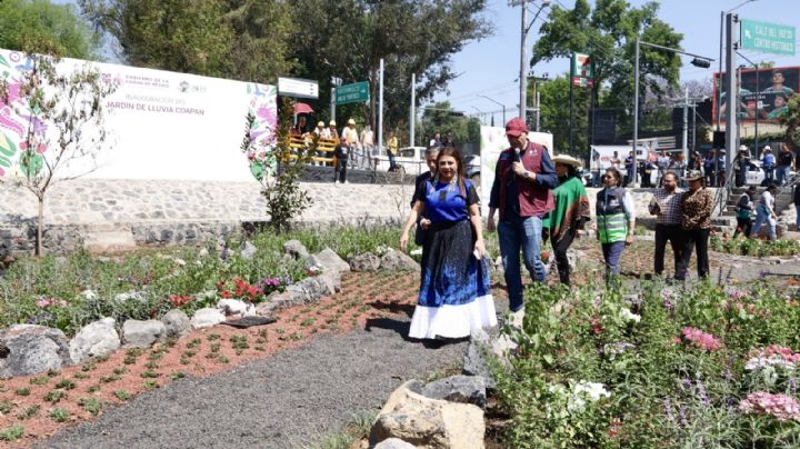 Jardín de Lluvia Coapan no responde a demanda de acceso a agua: Asamblea Vecinal Tlalpan Coyoacán