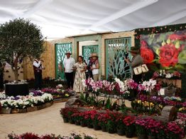 Compran 1 millón de plantas para embellecer la CDMX rumbo al Mundial 2026