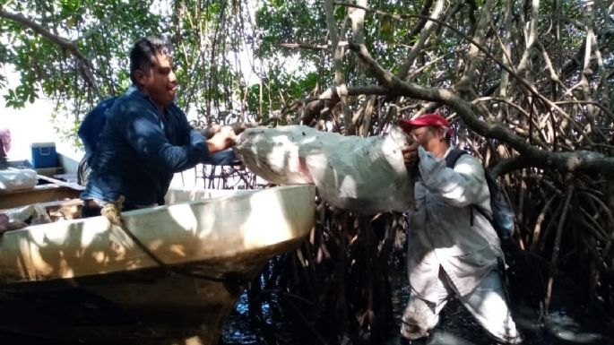 Derrame de petróleo ya se extendió 630 kilómetros, de Veracruz a Tabasco (Mapa interactivo)