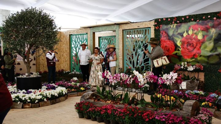 Compran 1 millón de plantas para embellecer la CDMX rumbo al Mundial 2026