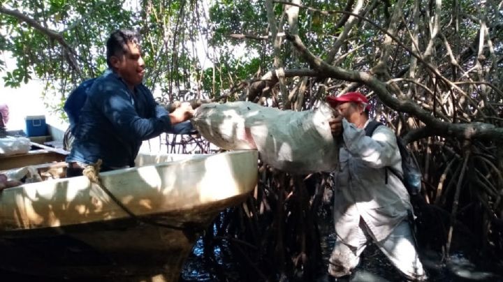 Derrame de petróleo ya se extendió 630 kilómetros, de Veracruz a Tabasco (Mapa interactivo)