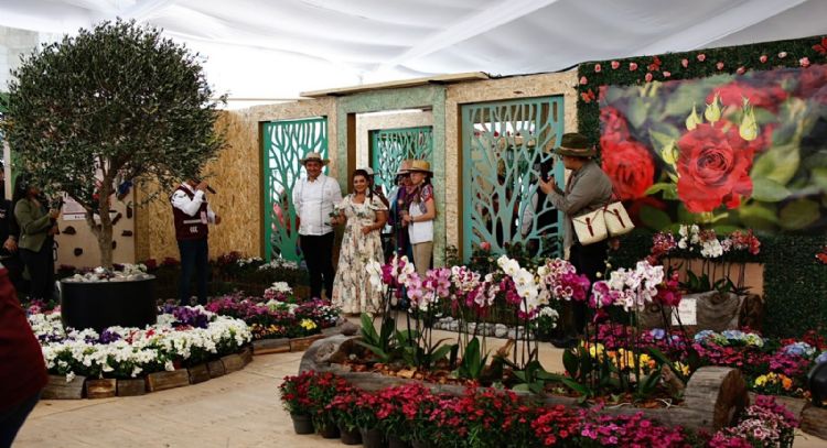 Compran 1 millón de plantas para embellecer la CDMX rumbo al Mundial 2026