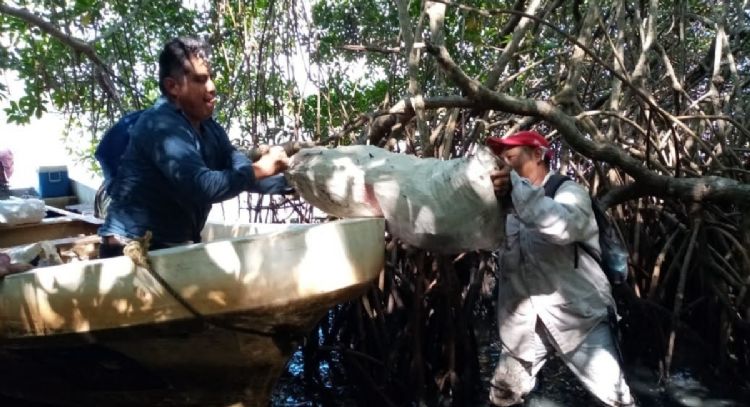 Derrame de petróleo ya se extendió 630 kilómetros, de Veracruz a Tabasco (Mapa interactivo)