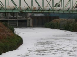 Buscadoras encuentran cuerpo sin vida en aguas negras del Canal La Compañía
