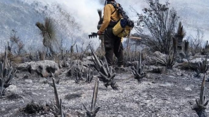 Tamaulipas logra la liquidación total del incendio forestal en Bustamante