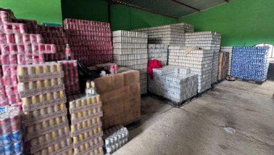 Decomisan en Guanajuato más de 170 mil latas de cerveza con valor aproximado de 3.3 mdp