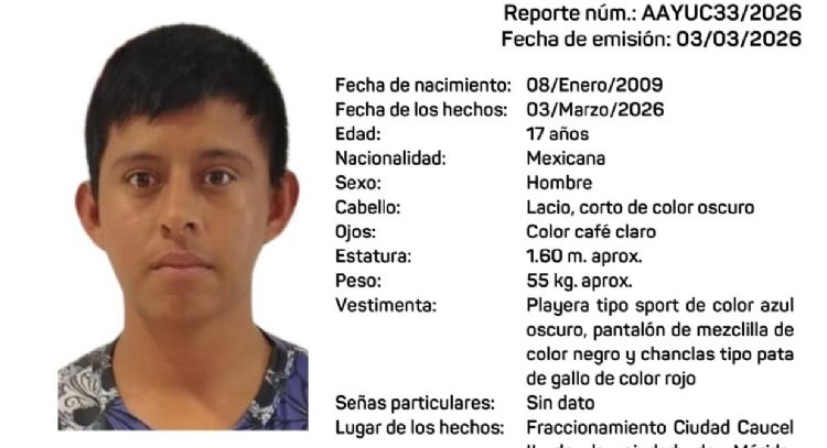 Entre fugas y falta de traductores: la odisea institucional de una madre para recuperar a su hijo