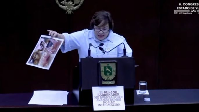 Diputada del PAN usa imágenes de Ucrania y Vietnam para cuestionar gestión del gusano barrenador