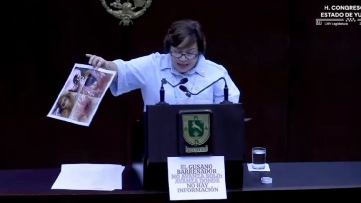 Diputada del PAN usa imágenes de Ucrania y Vietnam para cuestionar gestión del gusano barrenador