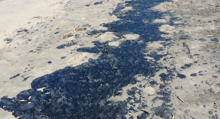 Grupo interdisciplinario atiende derrame de hidrocarburo en el Golfo de México