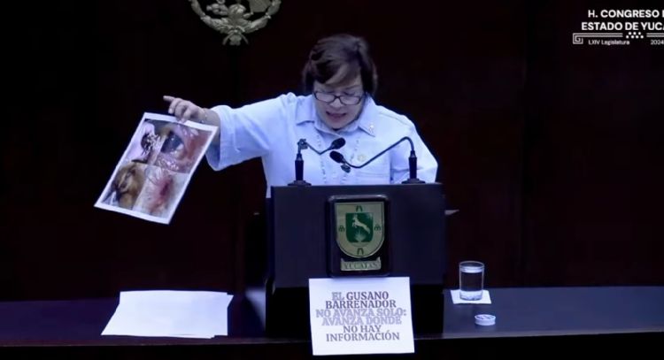 Diputada del PAN usa imágenes de Ucrania y Vietnam para cuestionar gestión del gusano barrenador