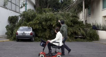 Fuertes vientos activan alerta en toda la CDMX; advierten por frío en madrugada del sábado
