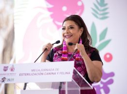 Brugada anuncia estrategia para erradicar abandono de perros en la CDMX