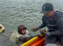 Las pescadoras de Sinaloa reman contra la violencia y el olvido oficial
