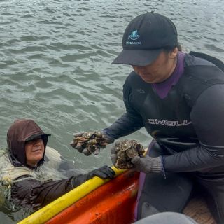 Las pescadoras de Sinaloa reman contra la violencia y el olvido oficial