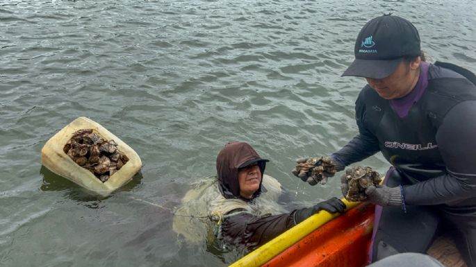 Las pescadoras de Sinaloa reman contra la violencia y el olvido oficial