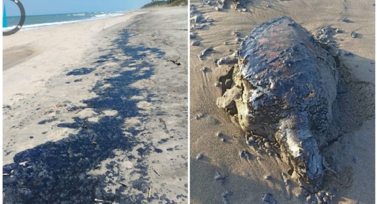 Derrame de petróleo se extiende a largo de casi 170 kilómetros del litoral veracruzano