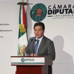 Reforma electoral: diputados prevén discutir el dictamen la próxima semana