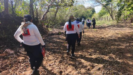 Desde 2010 han asesinado a 35 madres buscadoras, 25 de ellas en gobiernos de la 4T
