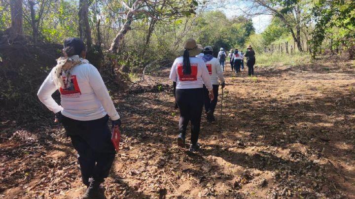 Desde 2010 han asesinado a 35 madres buscadoras, 25 de ellas en gobiernos de la 4T