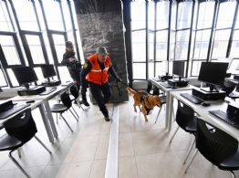 Gobierno federal dona a la UNAM dos perros entrenados para detección de riesgos