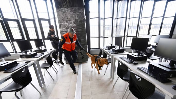 Gobierno federal dona a la UNAM dos perros entrenados para detección de riesgos