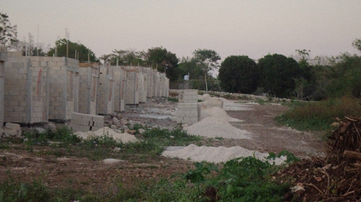 Libros antes que ladrillos: el pueblo maya que rechaza casas de Bienestar por una escuela