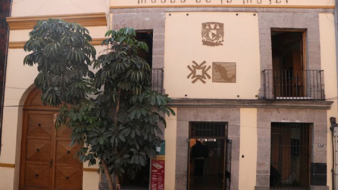 México sigue rezagado en igualdad pese a tener una primera presidenta: Patricia Galeana