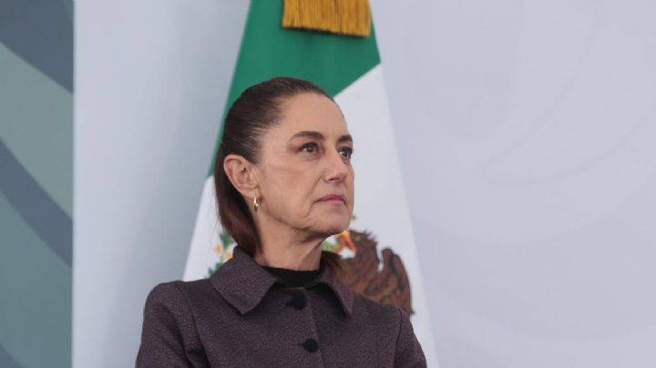 Fábrica de moscas contra el gusano barrenador se terminará en dos meses: Sheinbaum