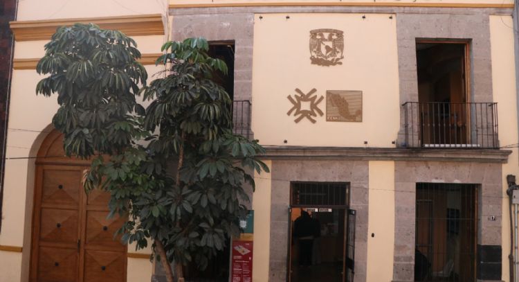 México sigue rezagado en igualdad pese a tener una primera presidenta: Patricia Galeana