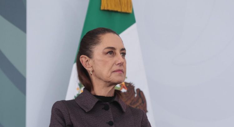 Fábrica de moscas contra el gusano barrenador se terminará en dos meses: Sheinbaum